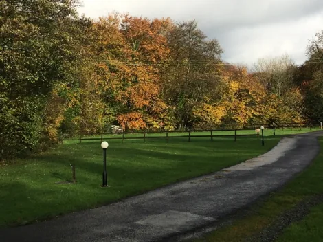 Autumn colour along the wooded banks of the valley, with fallen leaves across the grass