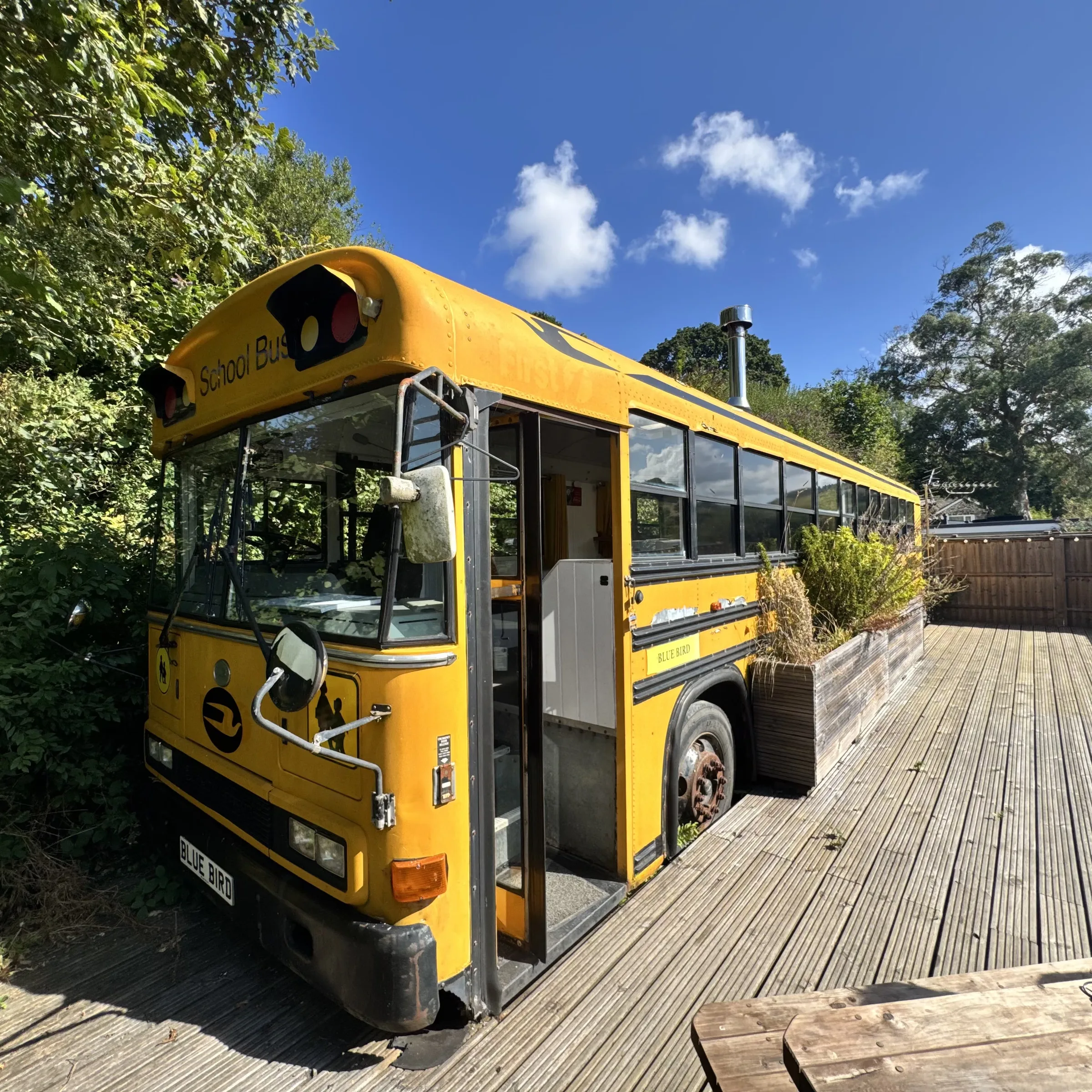 The yellow 1970 Blue Bird American school bus on its decked plot under a blue sky