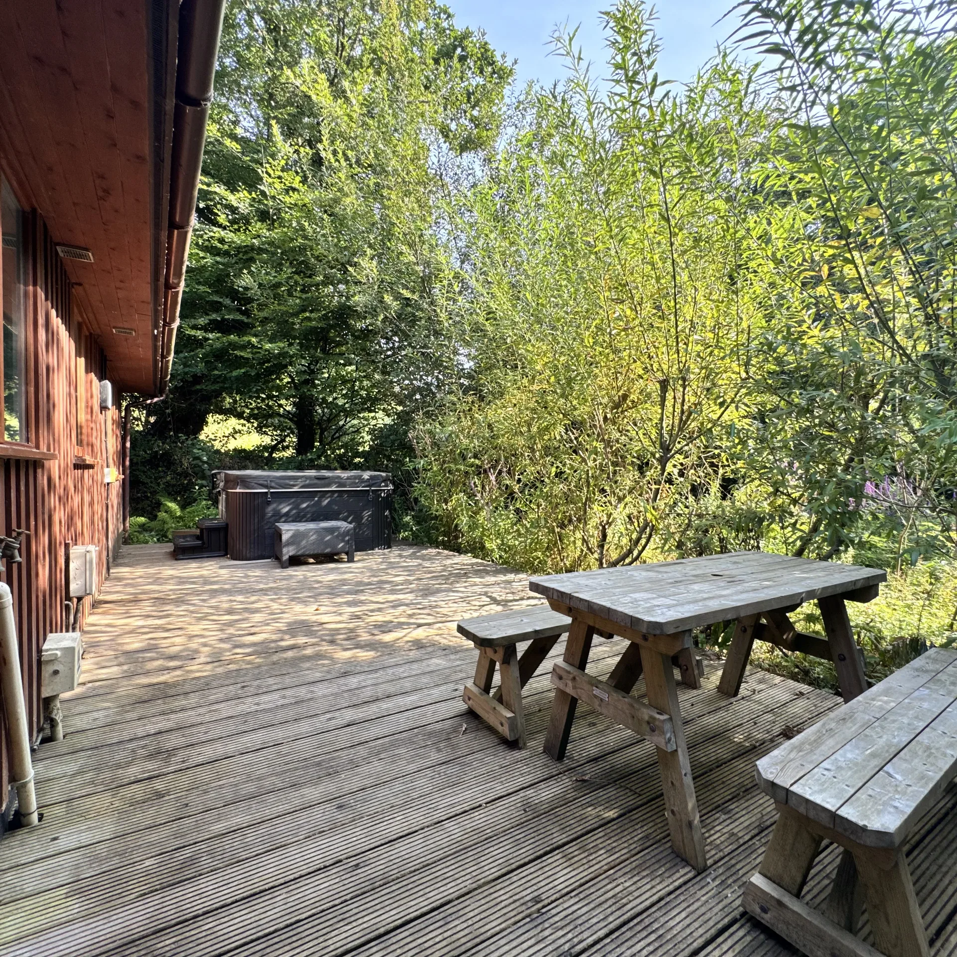 The picnic table on Stamford’s deck, looking out towards the trees