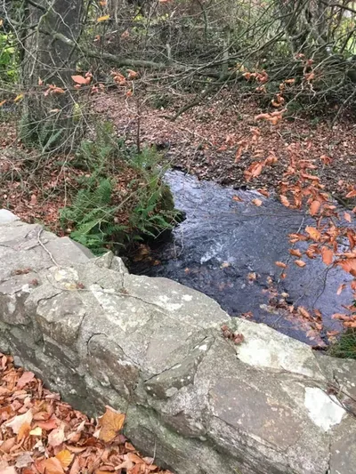 The River Strat running shallow over a leaf-strewn bed, seen from behind the mossy stone parapet of one of the bridges on site