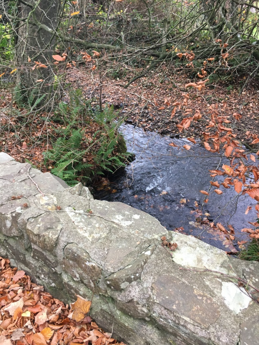 The Photogenic River Strat - Willow Valley